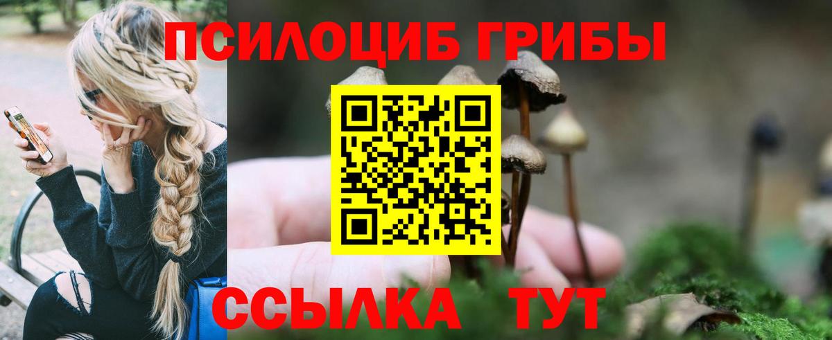 Галлюциногенные грибы прущие грибы Саяногорск